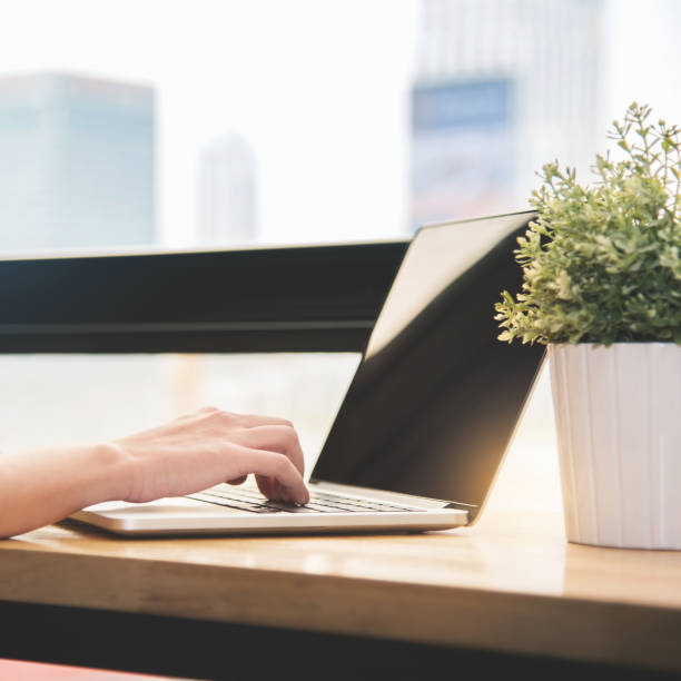 istock Woman hand typing on laptop at her workplace. 695373100