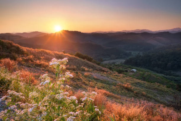 istock Sunset view on mountain at Nan province, Thailand. 695381114