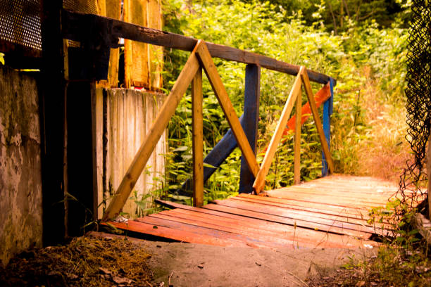 istock Rustic wooden bridge at sunny day 695387328