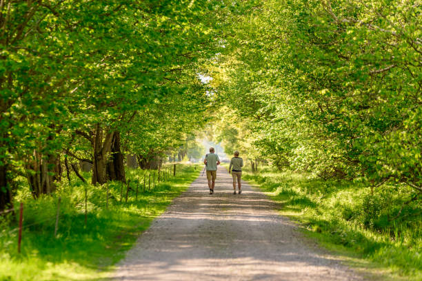 pareja senior en la naturaleza - footpath hiking walking exercising fotografías e imágenes de stock