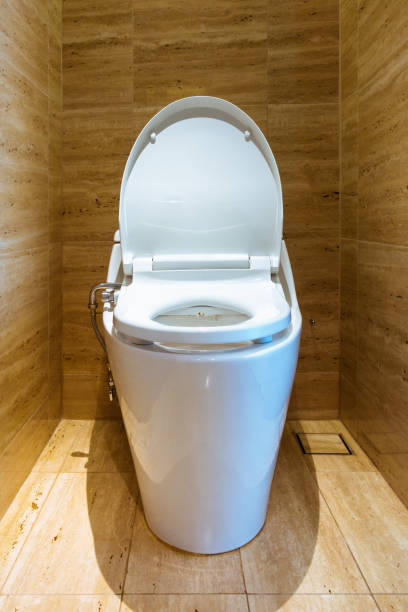 istock Toilet bowl and interior decoration., Architecture design. 695415558