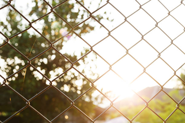 istock steel wire mesh chainlink fence 695418808