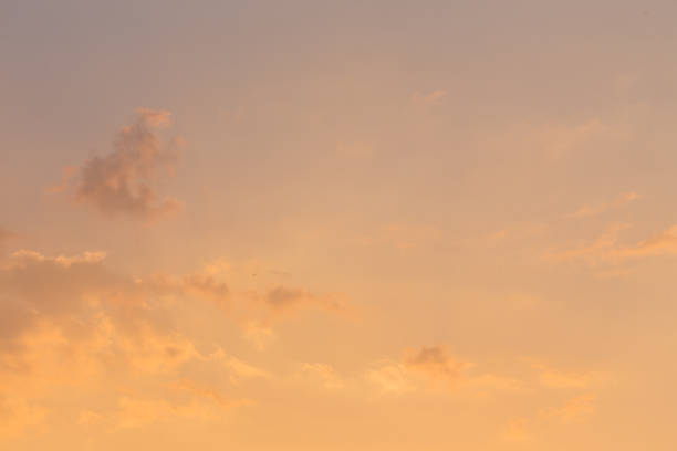 beautiful sun light in twilight sky summer background