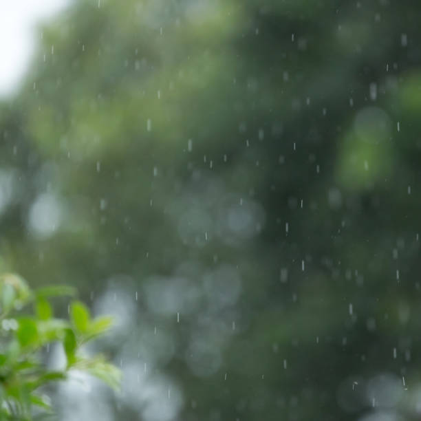 istock rain drop falling freshness with green bokeh nature, abstract blur background 695419522