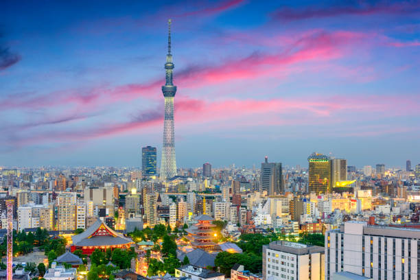 istock Tokyo Japan Cityscape 695425886
