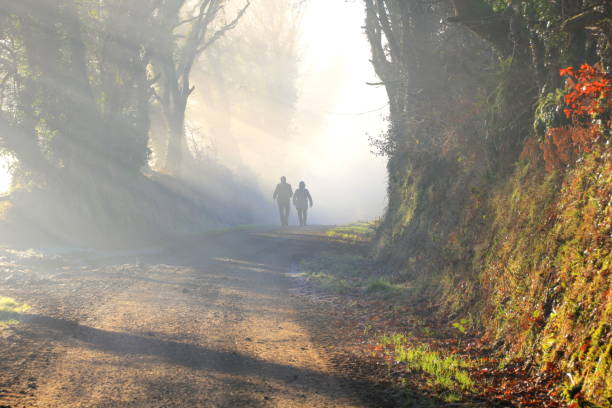 istock Walking in the fog 695432954
