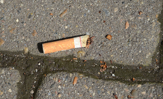 Dropped Cigarette Stump on tiles.