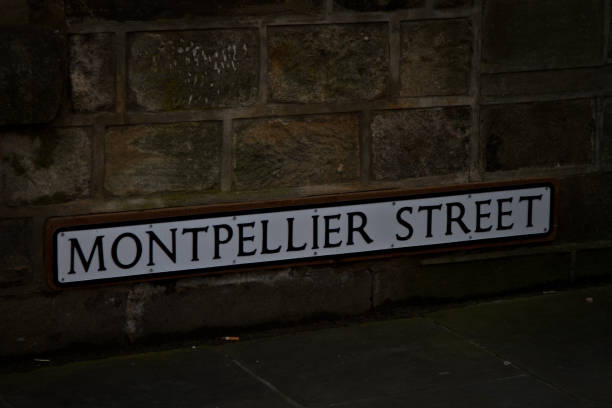 istock Montpellier Street Sign 695442304