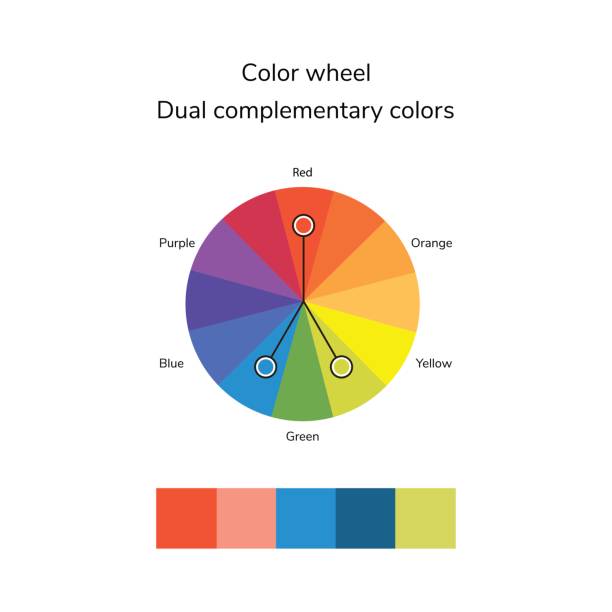 Color Matchcircel 80+ Color Wheel Infographic Stock Illustrations, Royalty-Free Vector ...
