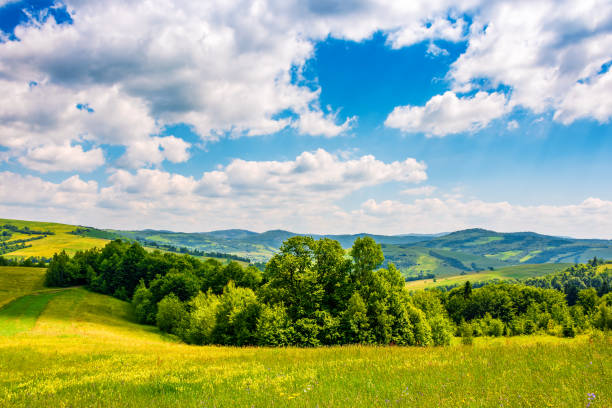 istock countryside summer landscape in mountains 695450054