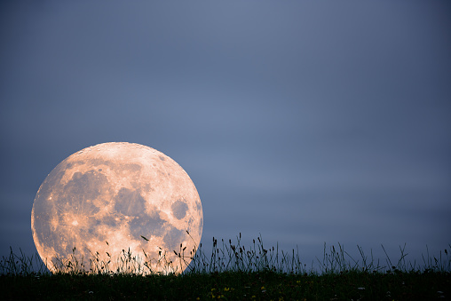 Moon setting against grass bank


