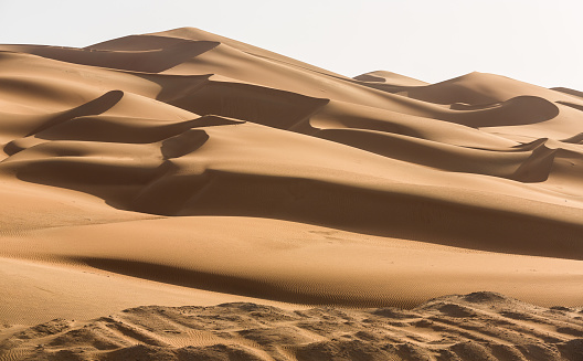 UAE DesertUAE DesertUAE DesertUAE Desert