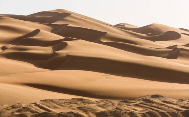 deserto dos emirados árabes unidos - sand dune - fotografias e filmes do acervo