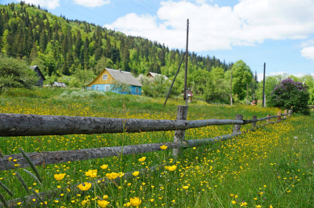 istock House in the Carpathians. 695469808