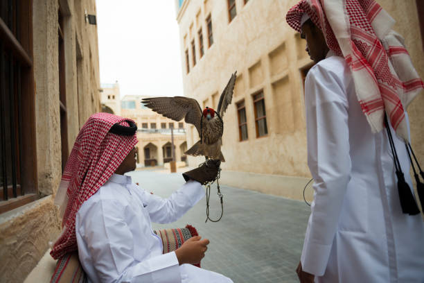 souk de falcão em doha, qatar - falconry glove - fotografias e filmes do acervo