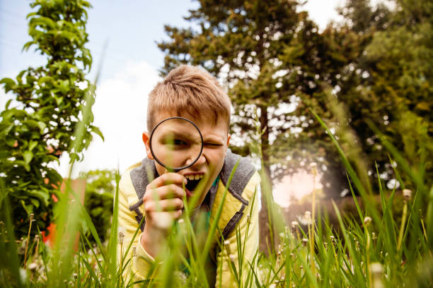 istock Child Exploring the Outdoors With Magnifying Glass 695479978