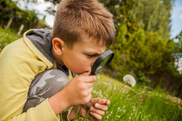 istock Child Exploring the Outdoors With Magnifying Glass 695479988