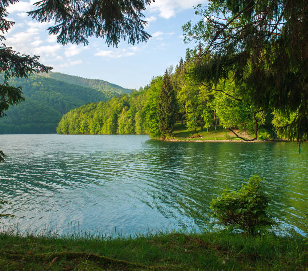 istock Beauty landscape shore pine trees to mountain lake 695484212