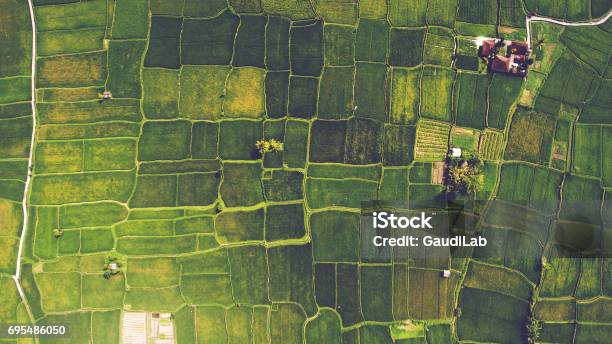 Paesaggi Aerei - Fotografie stock e altre immagini di Veduta aerea - Veduta aerea, Scena rurale, Fattoria