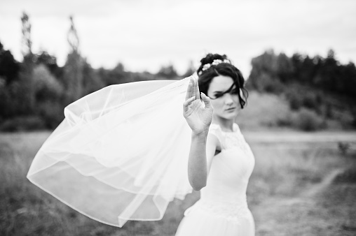 Lonely gorgeous bride posing for her wedding photo session in a counytyside. Black and white photo.