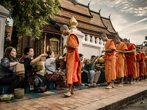 Buddhist monks lining up for the alms giving ceremony in Luang Pragang Laos. Every morning the monks walk through the streets of Luang Prabang too collect alms of residents and tourists of the town.