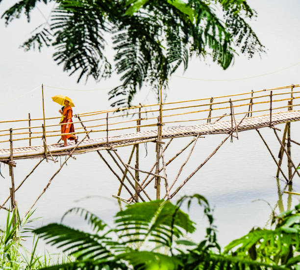 Buddhist monks walking on a bamboo bridge on the Nam Khan river in Luang Prabang Laos
