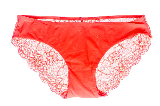 istock Elegant lace panties 695494776