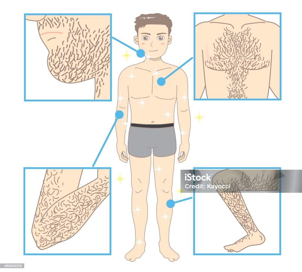 Men's Beauty depilation Whole body and Every part of the body Chest Hair stock vector