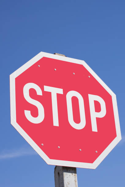 istock Vertical Shot of Stop Sign 695502724