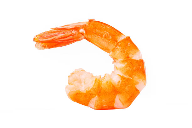 istock Shrimps. Prawns isolated on a White Background. Seafood 695505650