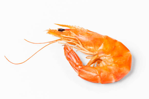 istock Shrimps. Prawns isolated on a White Background. Seafood 695505728