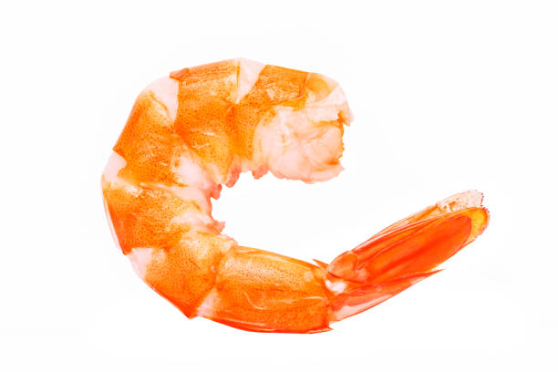 istock Shrimps. Prawns isolated on a White Background. Seafood 695505740