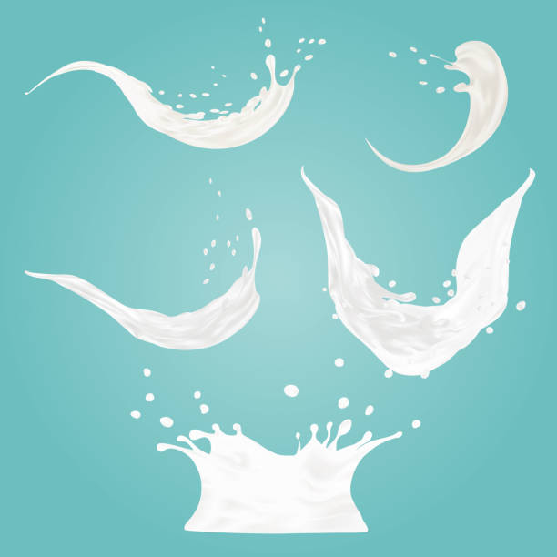 набор молочных брызг вектор изолированы на синем фоне. заливки белой жидкости или молочных продуктов. крем, йогурт падают с каплями и пятна� - 2505 stock illustrations