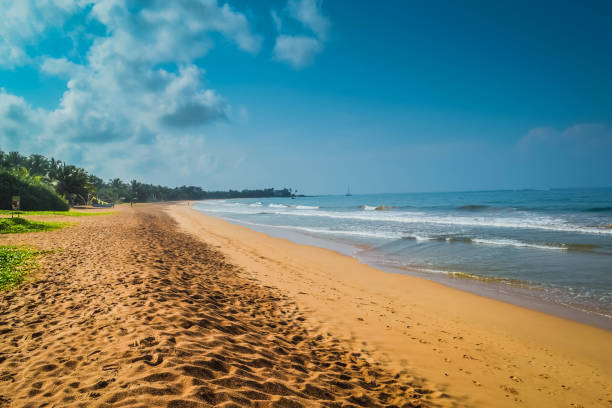 istock Beautiful Induruwa Beach Sri Lanka with blue water 695509420