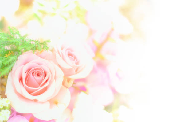 istock abstract flower background. flowers made with color filters 695516468