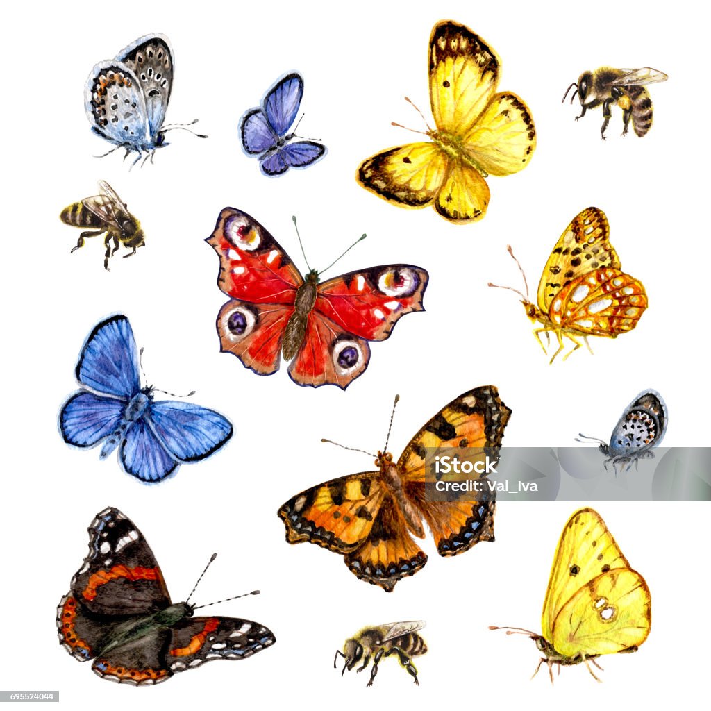 Watercolor set of butterflies and bees. Hand drawn  insects set. Watercolor  flying and sitting vivid butterflies and bees isolated on white background. Butterfly - Insect stock illustration