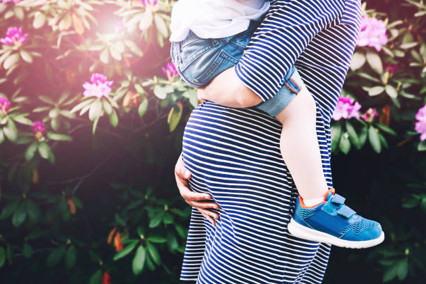 Pregnant woman with child. Pregnant woman with child. Mother and son on nature background, close-up. Child boy is sitting on belly of his mother, who pregnant for second time. Pregnancy, new life, family, parenthood concept. number 2 photos stock pictures, royalty-free photos & images