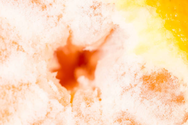 orange as a background. super macro
