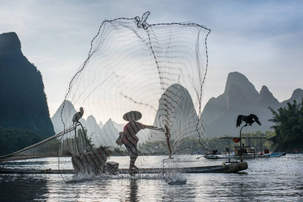 istock Fisherman of Li River 695545904