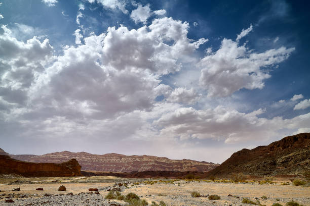 istock Israel - Timnapark 695549146