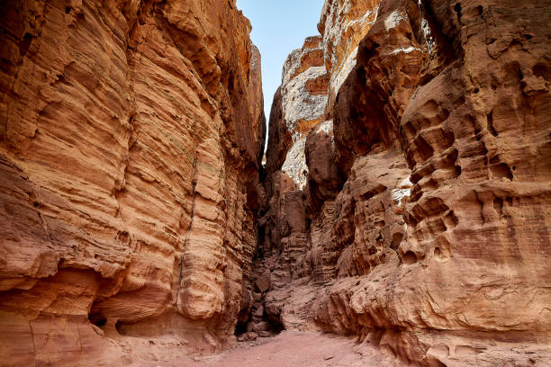 istock Israel - Timnapark 695549174
