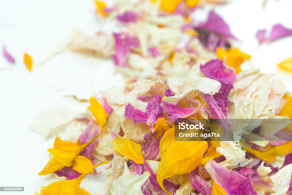 Multicolored Dried Flower Petals Potpurri Stock Photo - Download Image Now  - Aromatherapy, Backgrounds, Beauty - iStock