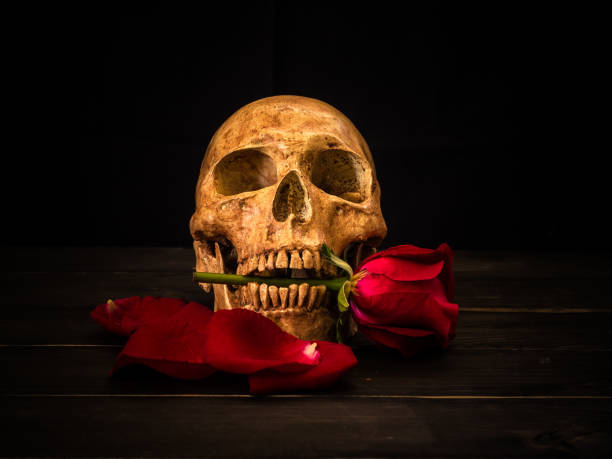 istock Still life of flowers and skull 695560092