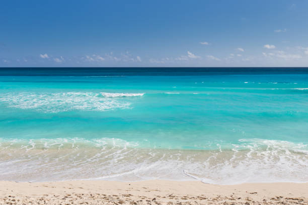 istock Caribbean sea coastline 695561354