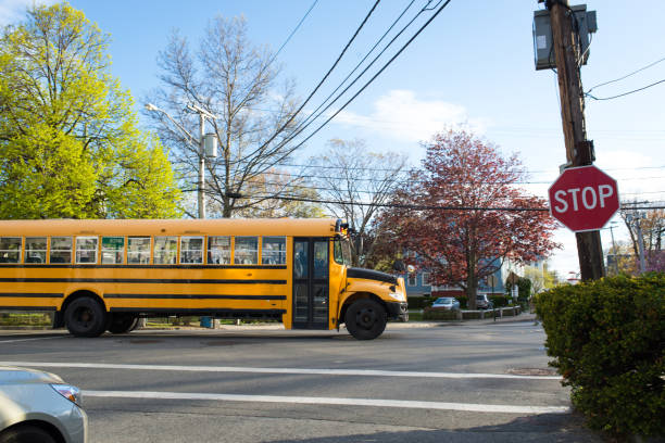 istock Stopped sign and School Bus 695561420