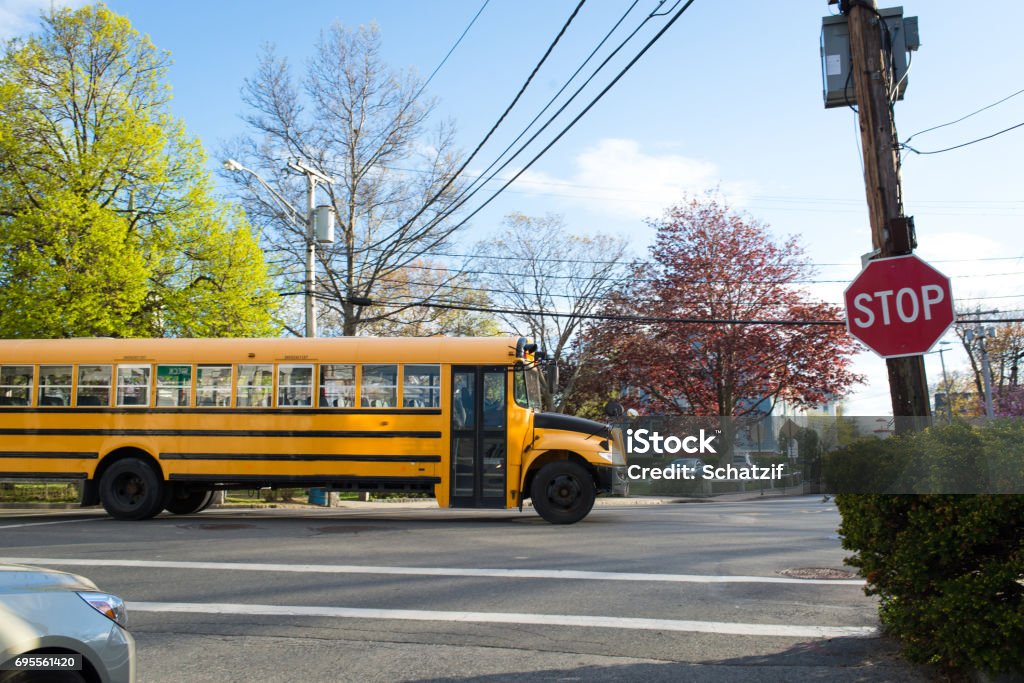 Stopped sign and School Bus Stopped sign and School Bus at intersection School Bus Stock Photo