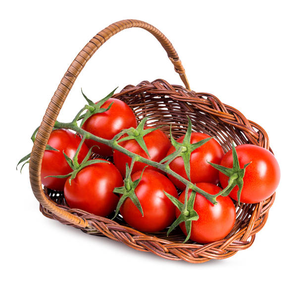 istock Cherry tomatoes {tomato} isolated on a white 695569630
