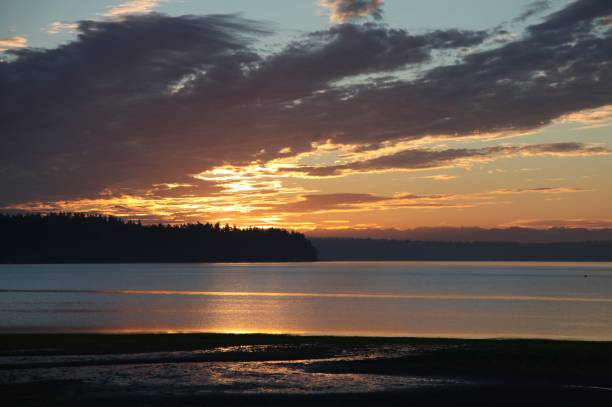 istock Puget Sound Sunrise 695580364