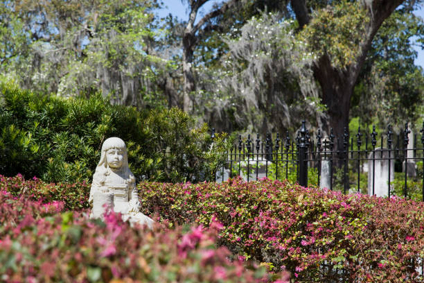 Little Gracie statue in historic Bonaventure Cemetery, Savannah Georgia. The life-size sculpture dates to 1889 and is a well-known Savannah tourist destination.