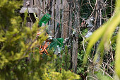outdoor-gartendekoration-im-s%C3%BCddeut